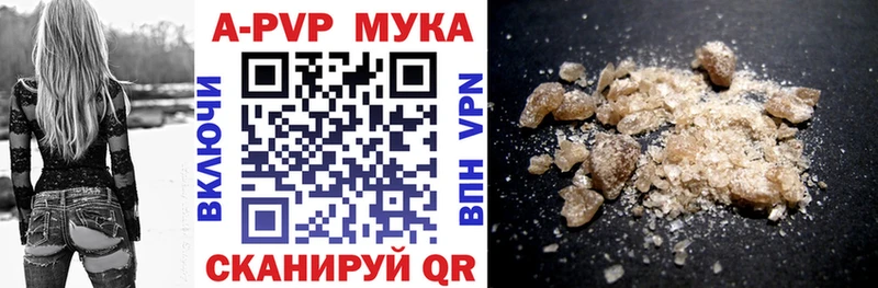 Alfa_PVP СК КРИС  Шлиссельбург 