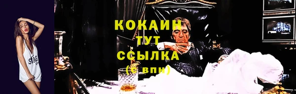 МДПВ Абинск