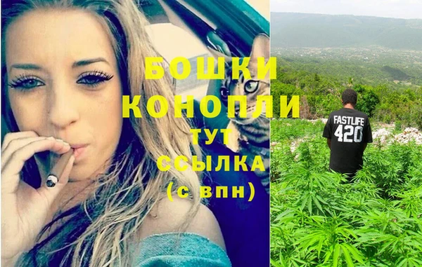стафф Абаза