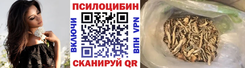 Псилоцибиновые грибы Psilocybine cubensis  купить  цена  Шлиссельбург 